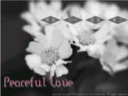 * Peaceful Love *